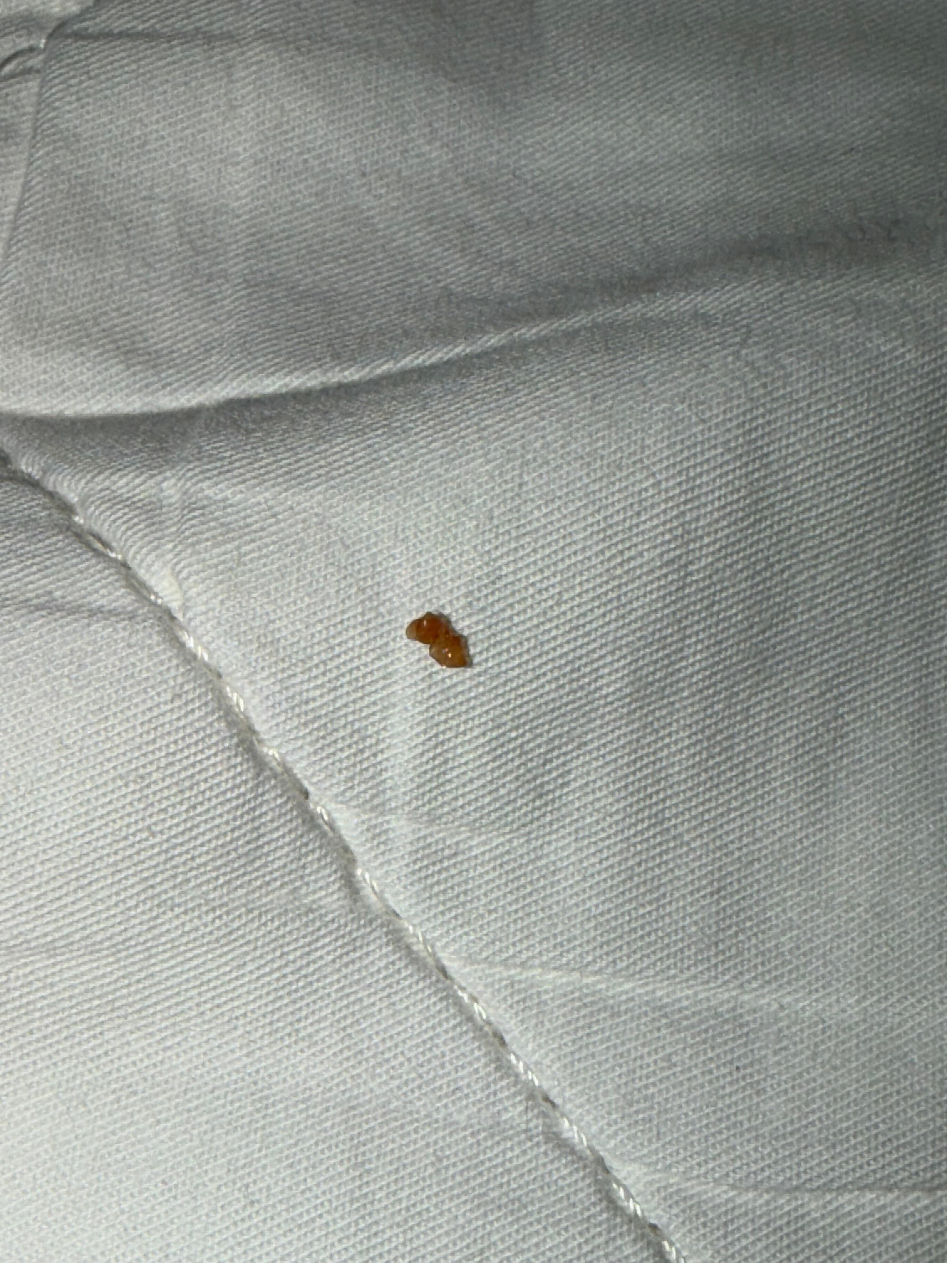 Third room between middl sheets 