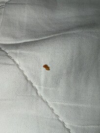 Third room between middl sheets