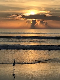 Morning sunrise at Seawinds.