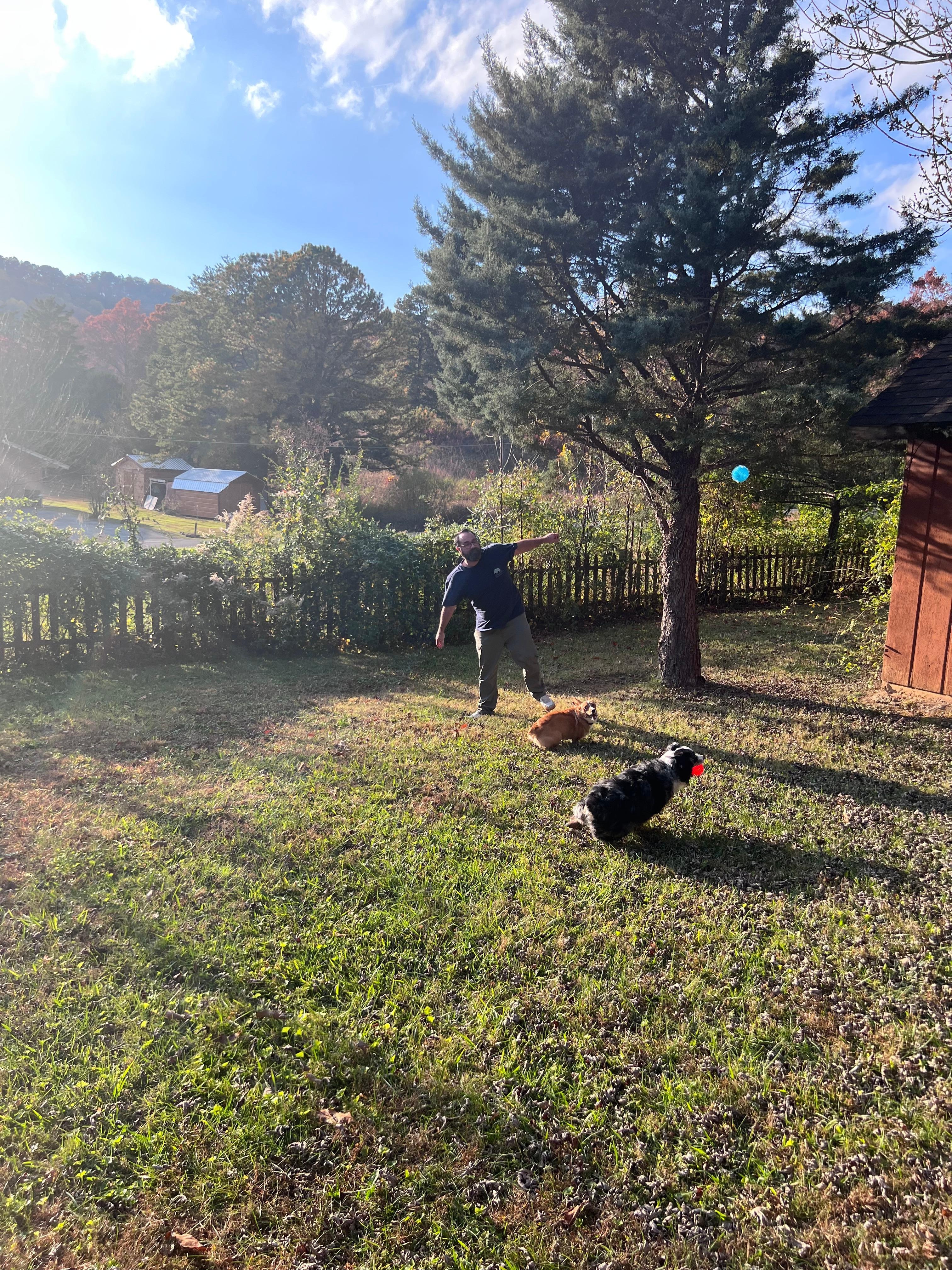 Backyard was spacious for our pups