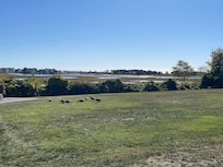 The back lawn