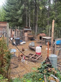 Animal sanctuary at the VRBO