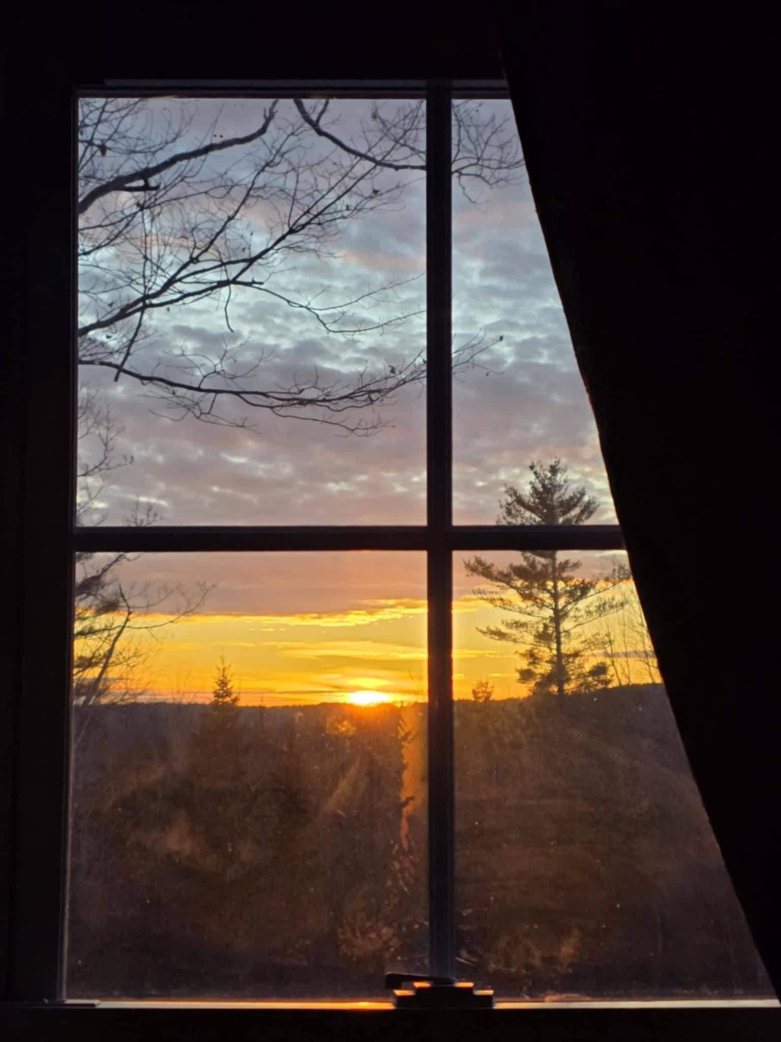 Sunset from the window in the treehouse. 
