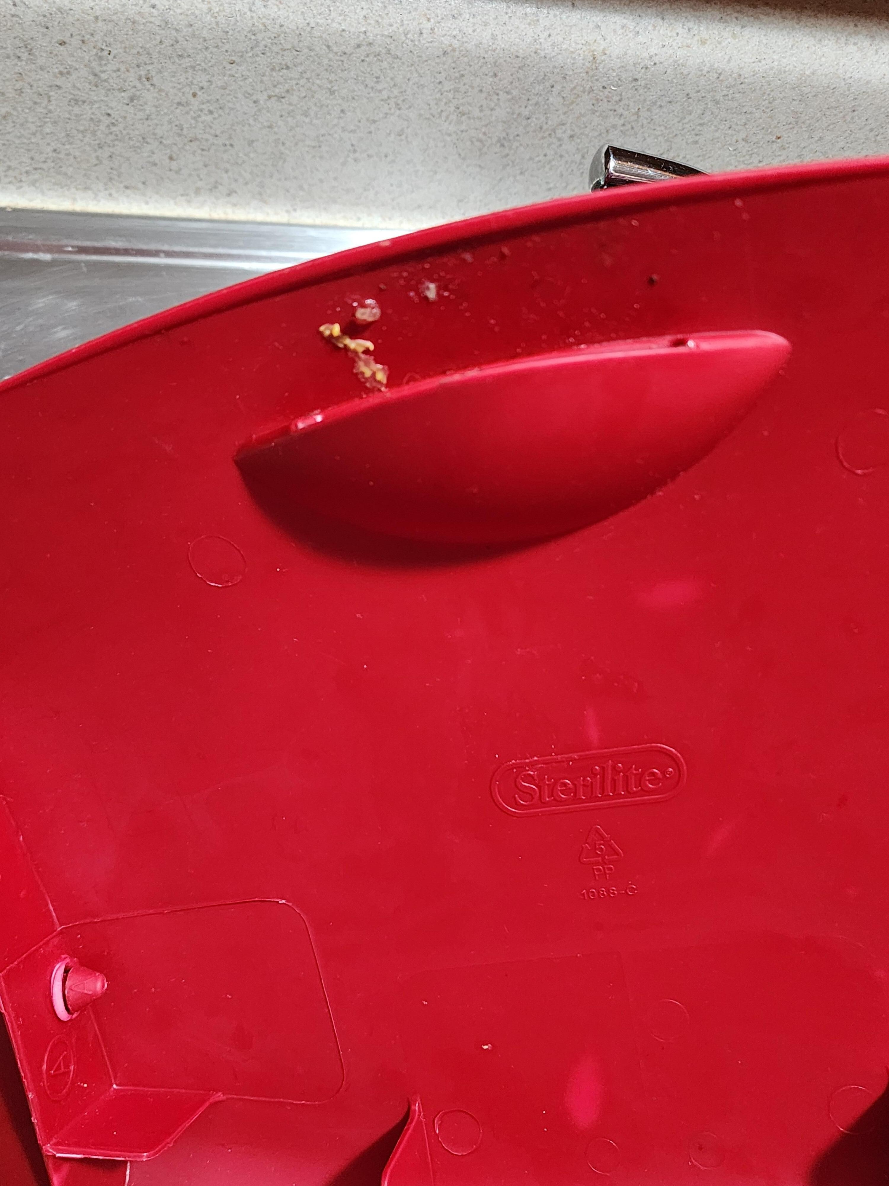 Kitchen trash can