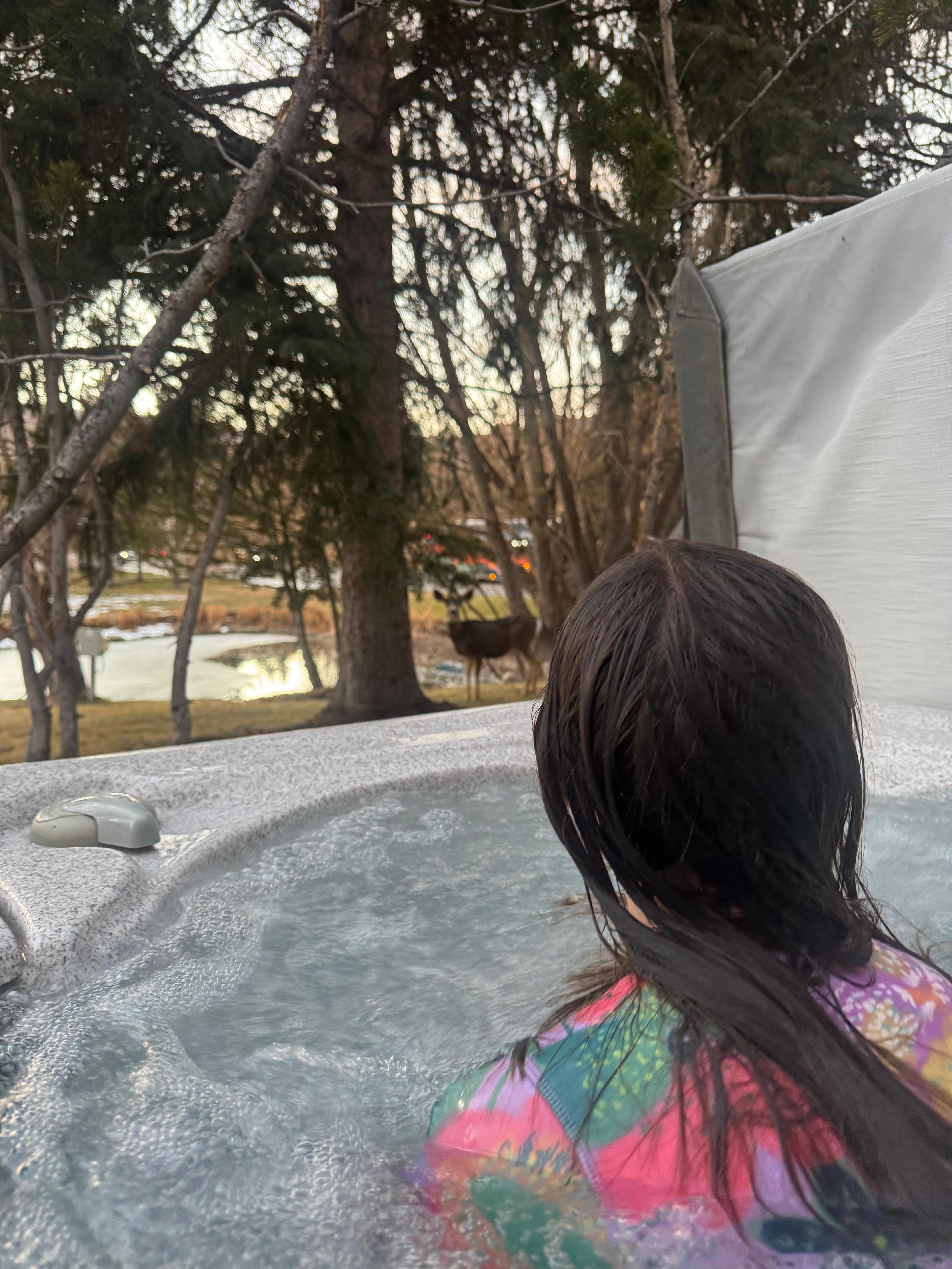 Deer watching at its finest 