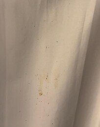 Bug feces on curtain about a foot away from the bed