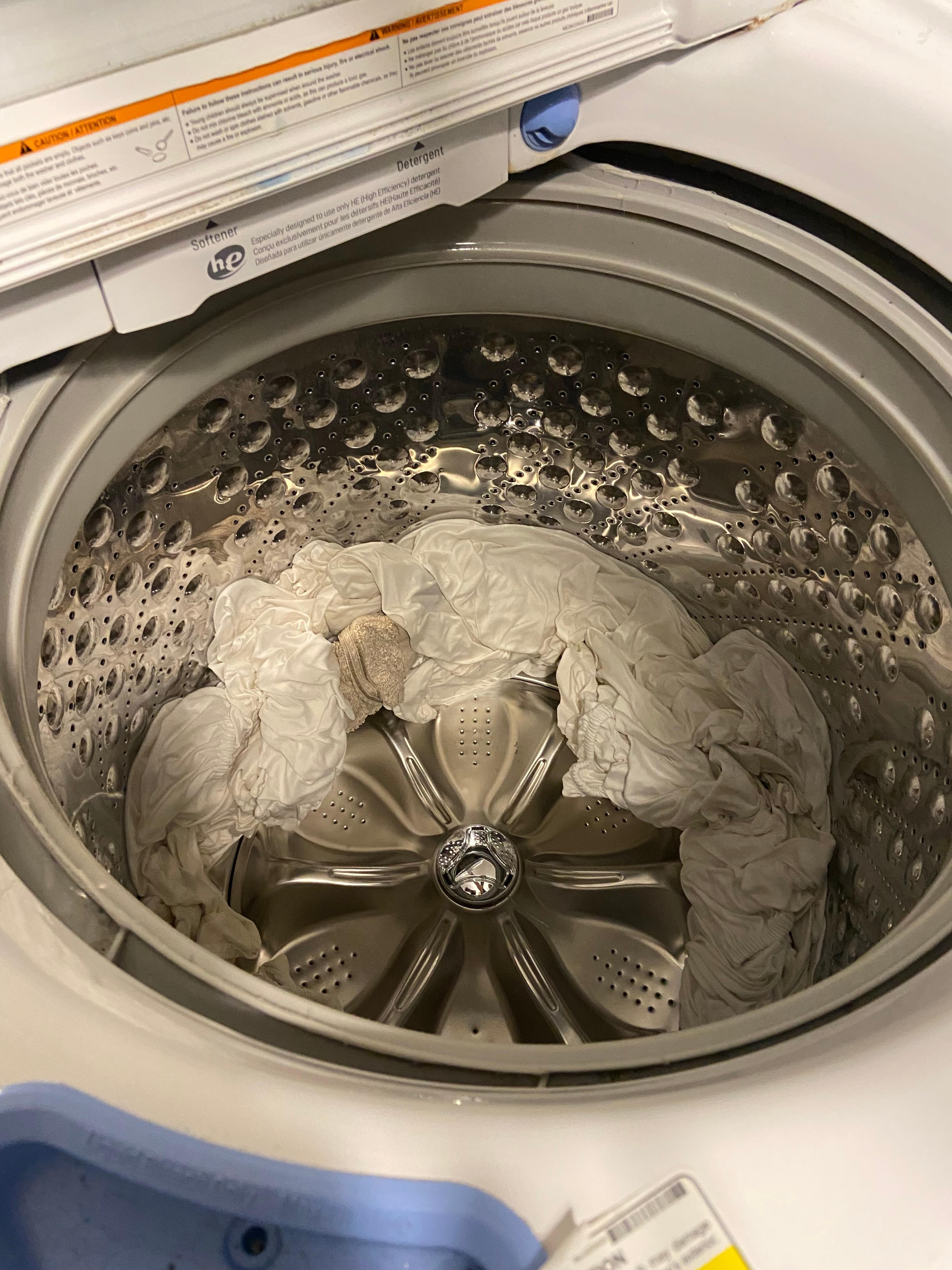 Smelly and damp laundry in washer