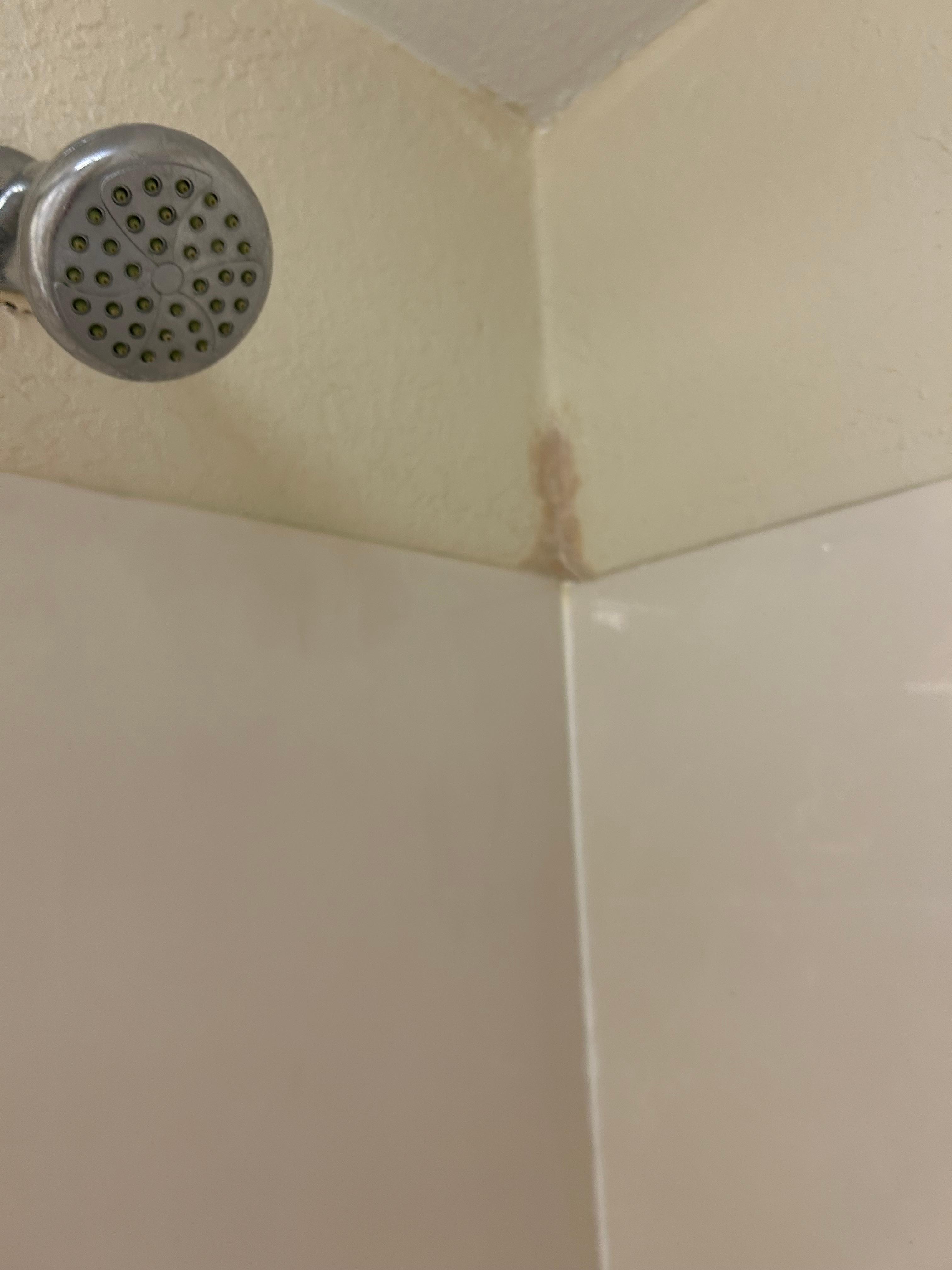 This was some mold in the bathroom