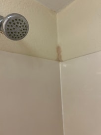 This was some mold in the bathroom