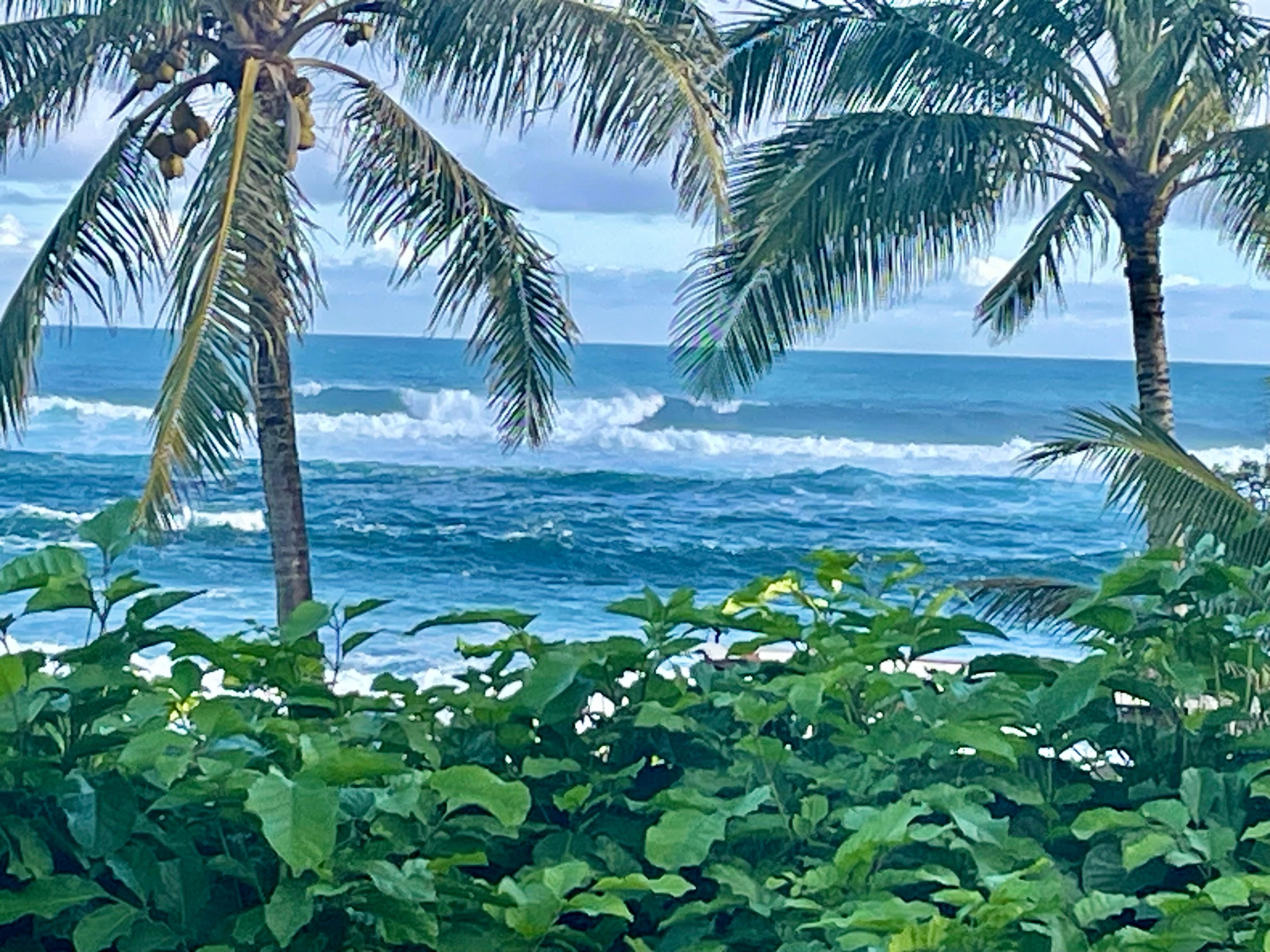 From the deck of the house!