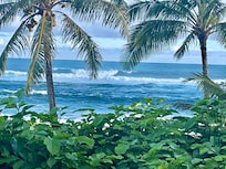 From the deck of the house!