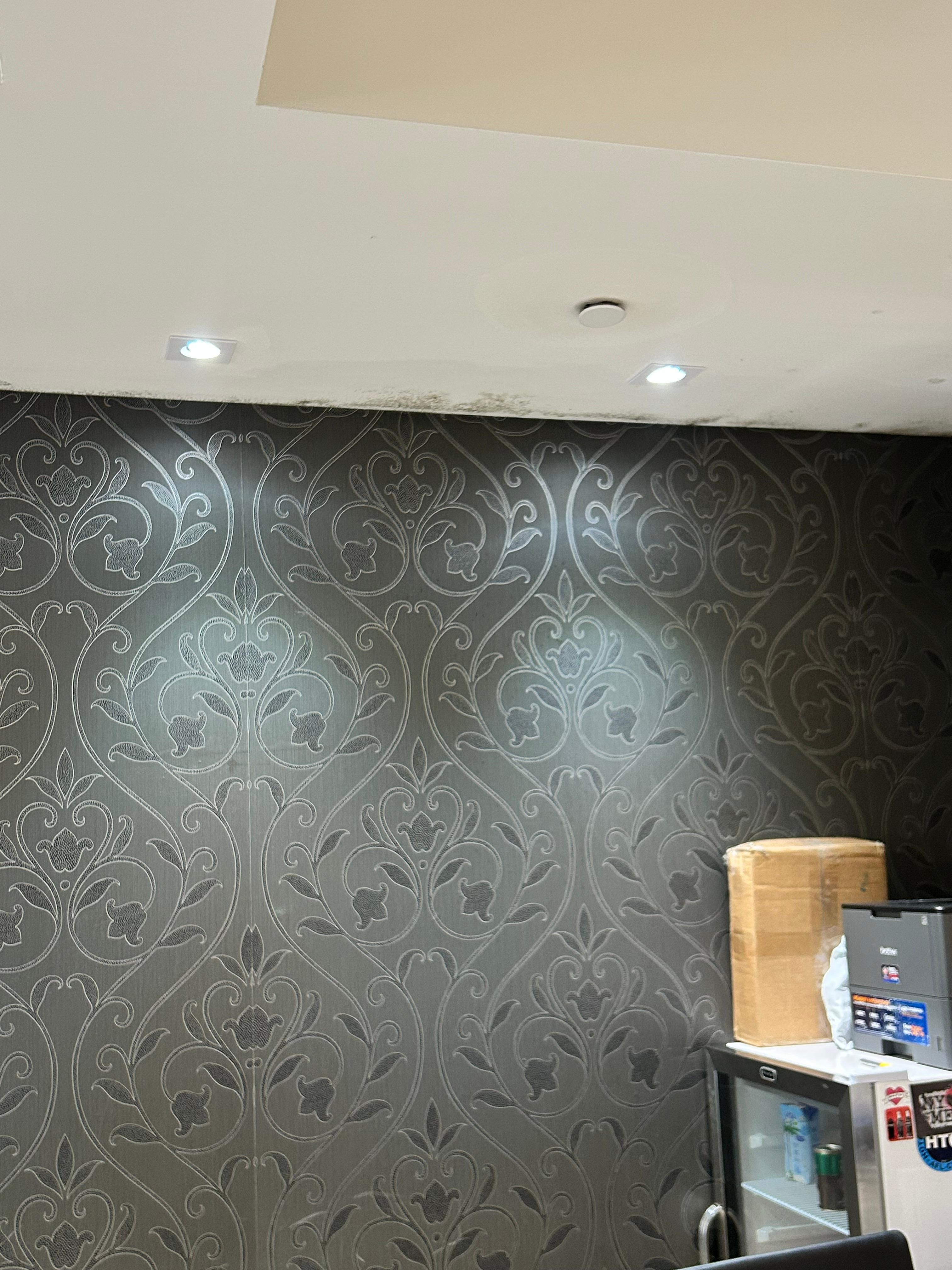 Mould in reception