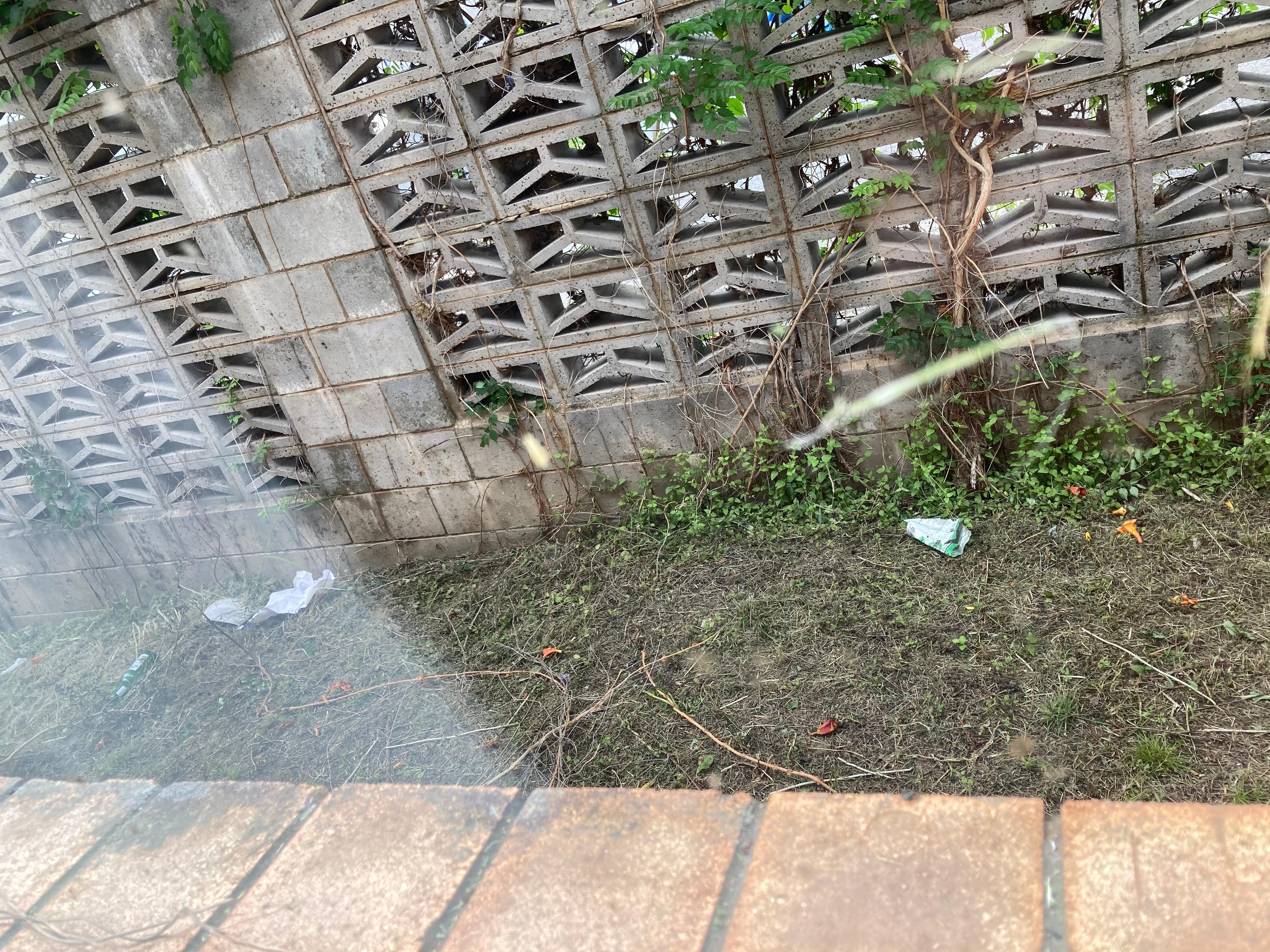 Rubbish outside the window when curtains are open in the room