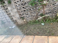 Rubbish outside the window when curtains are open in the room