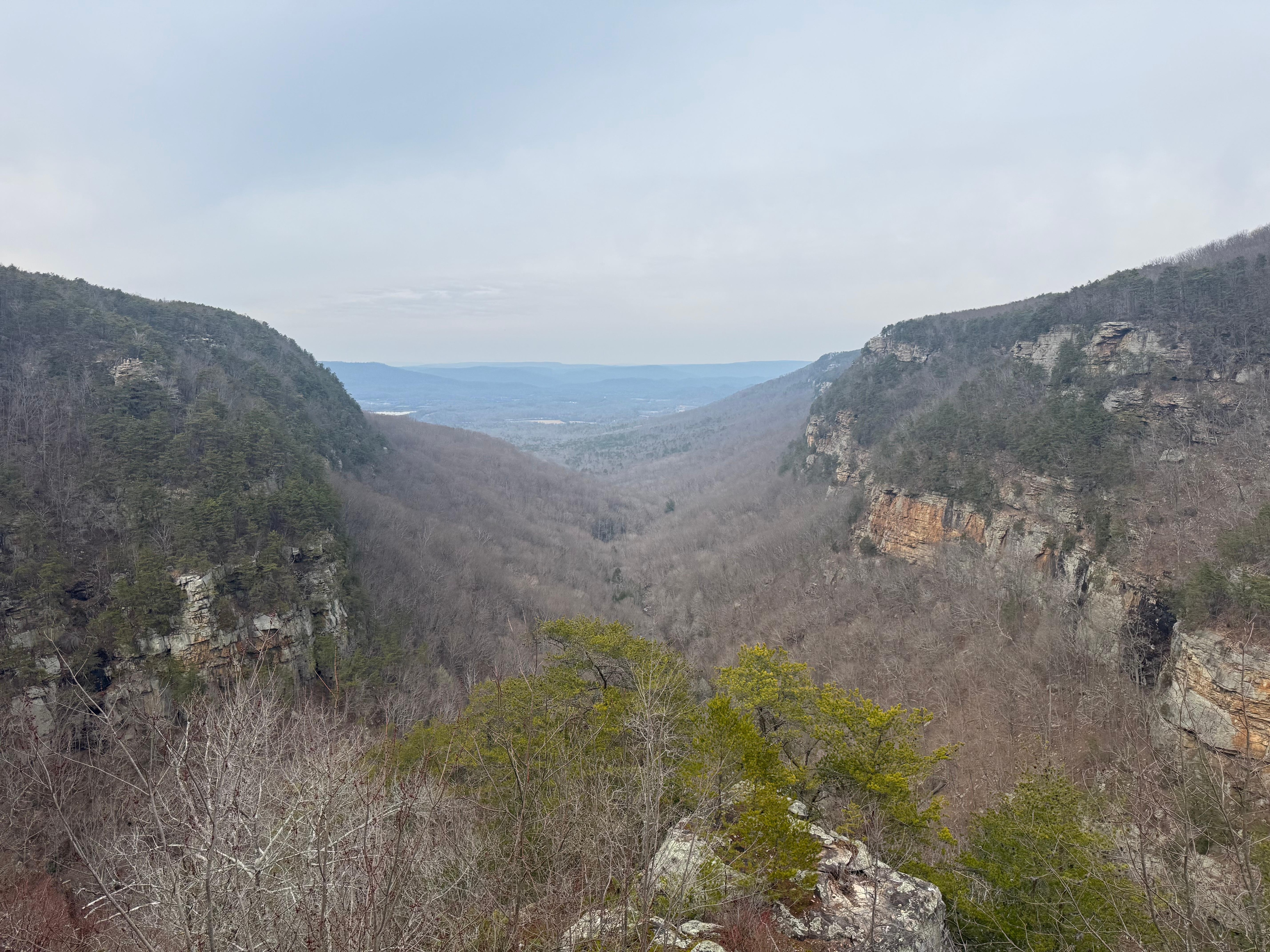 Beautiful views while looking at property in the area. 
