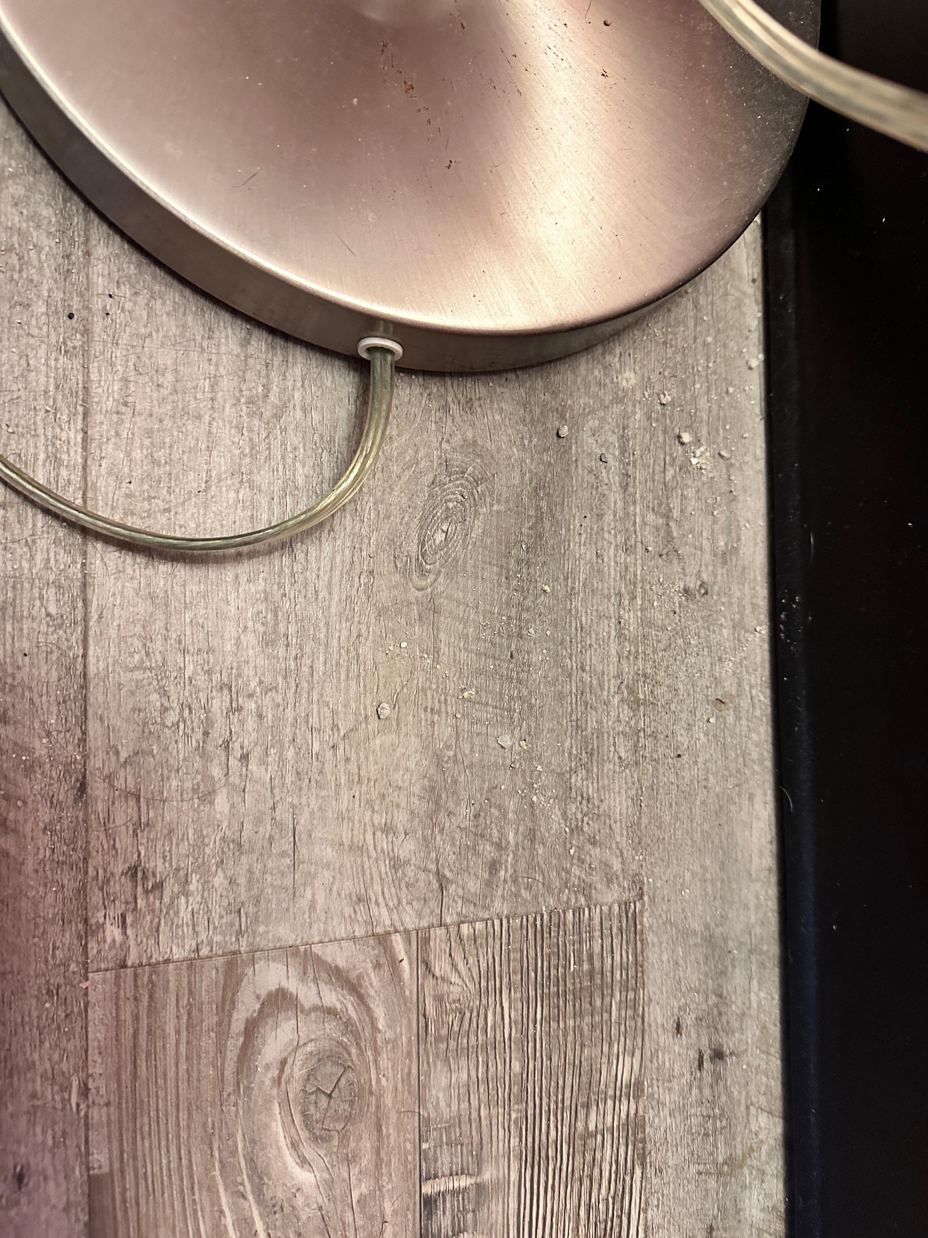 Kitty litter in the room