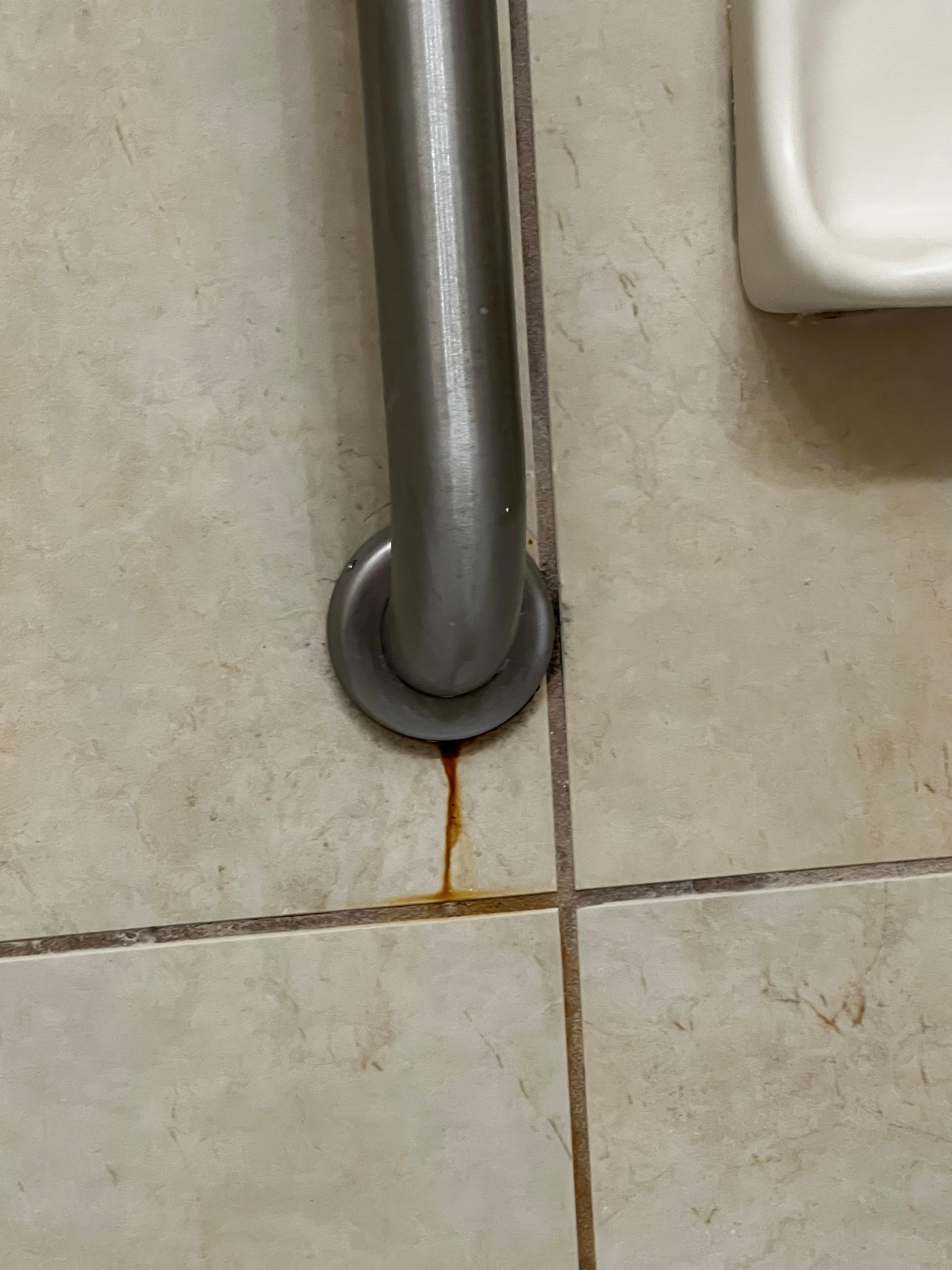 Rudy grab bar and tile grout conditions. 