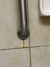 Rudy grab bar and tile grout conditions.