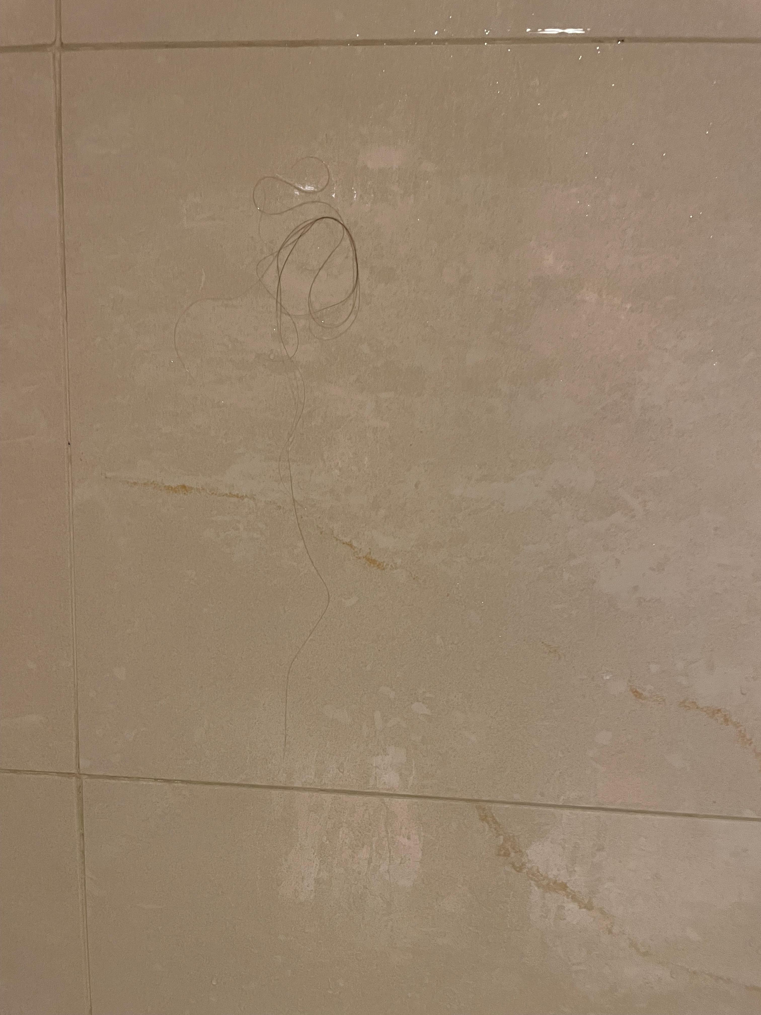 The hair (not from me) in the shower during all my stay…