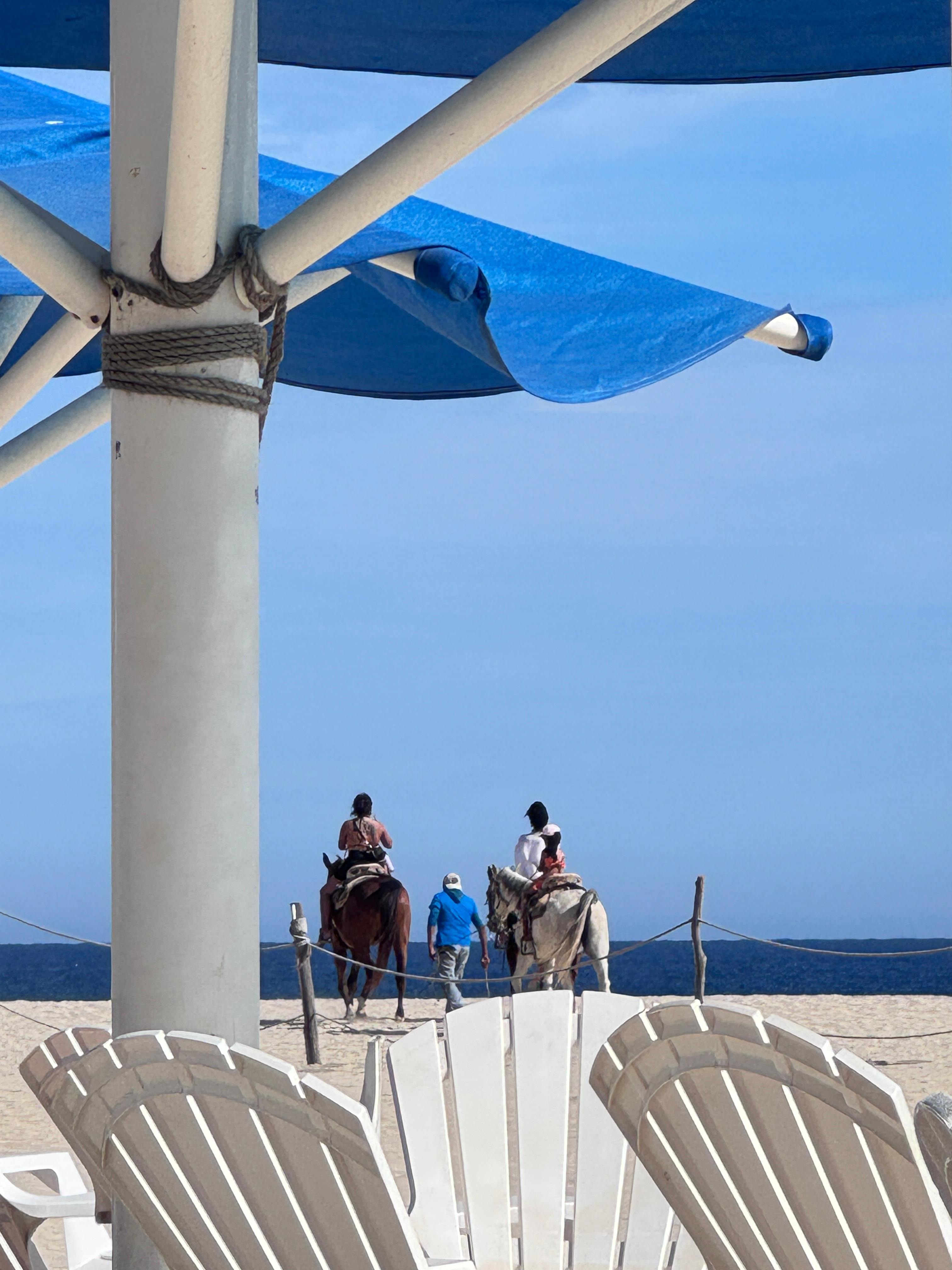 View from under one umbrella at the pool.