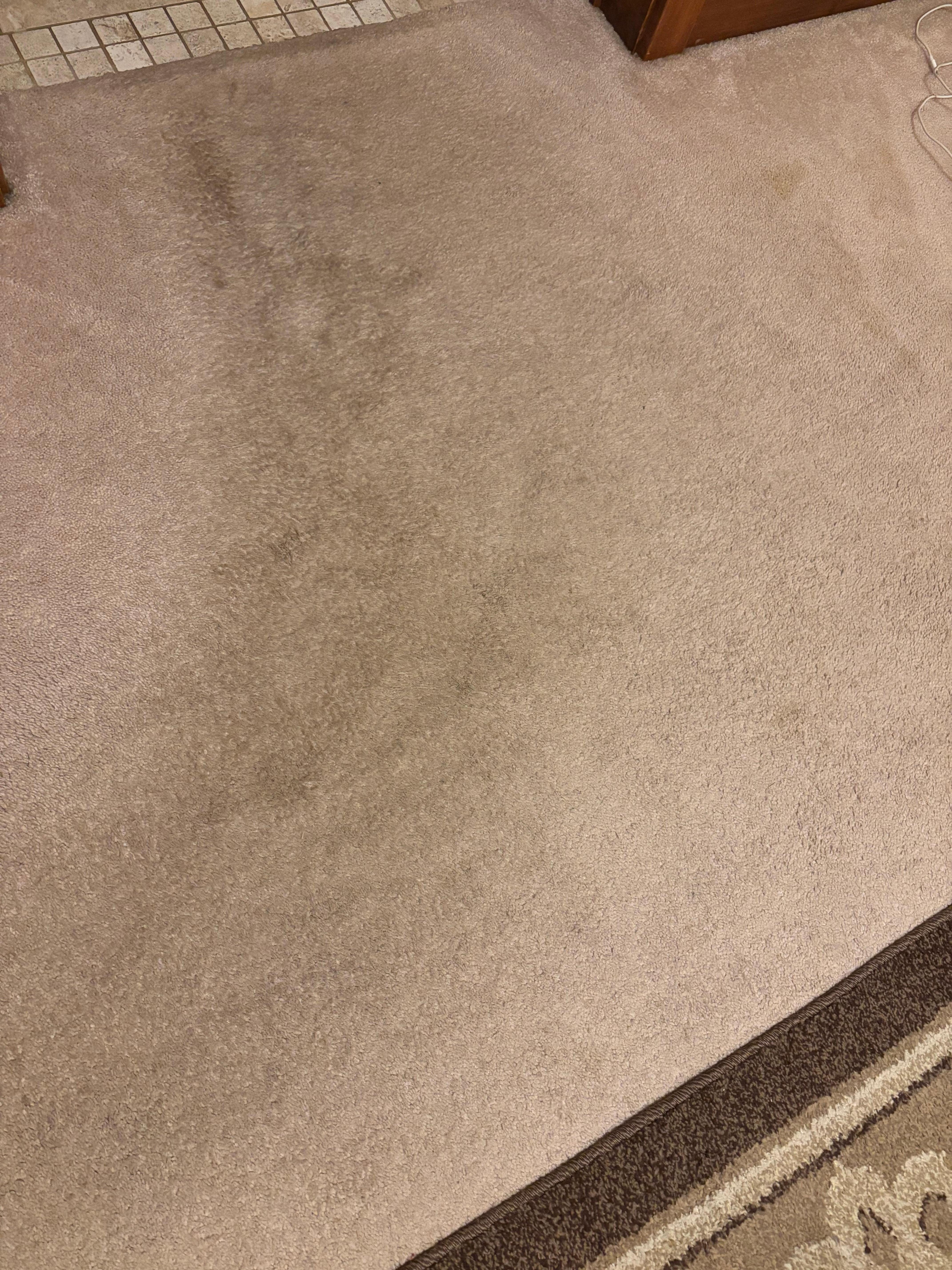 Rug in large bedroom into bath