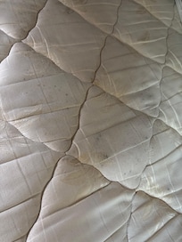 Mold on mattress that was covered up with dirty mattress cover