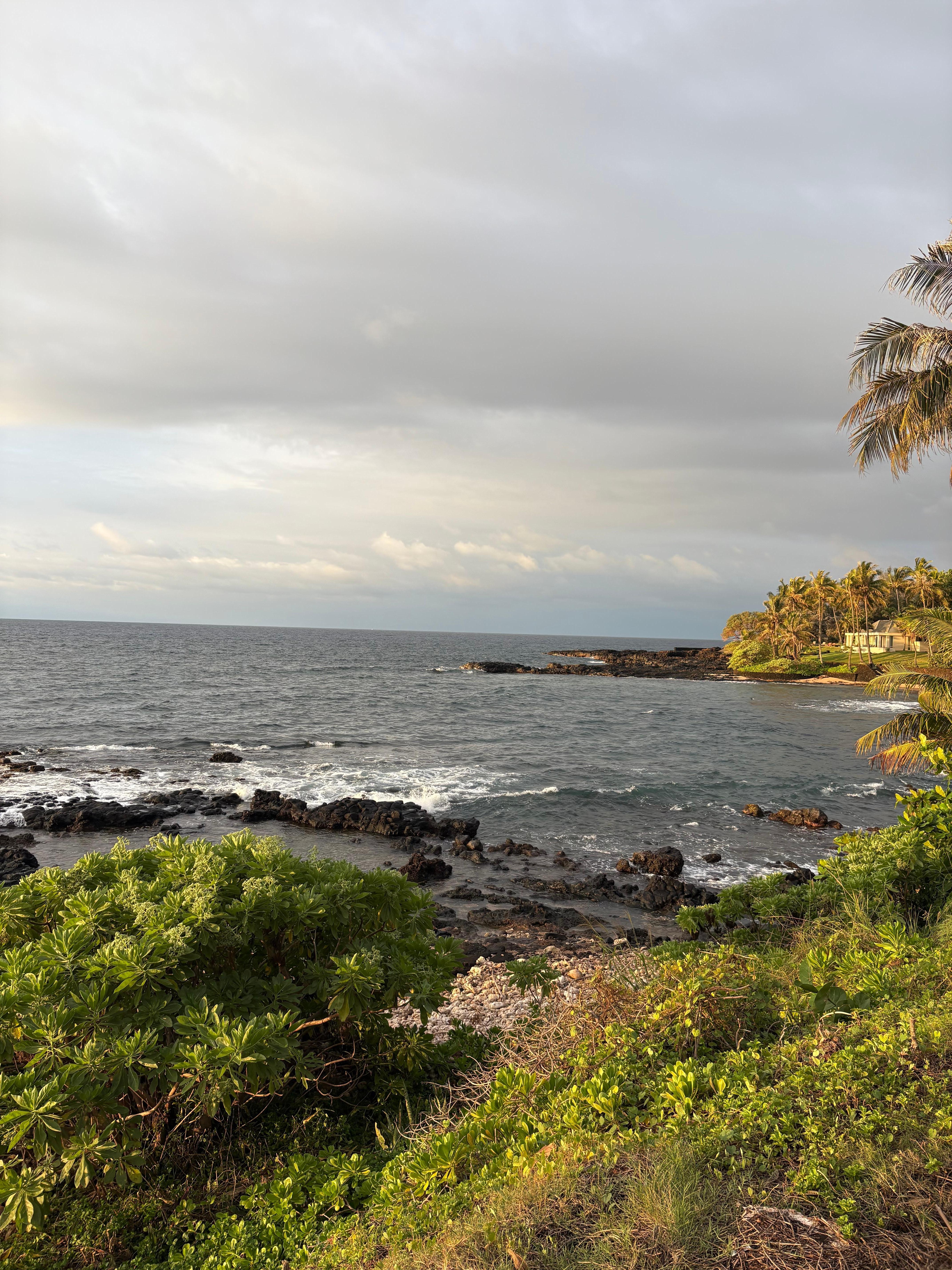 View from chairs in backyard 