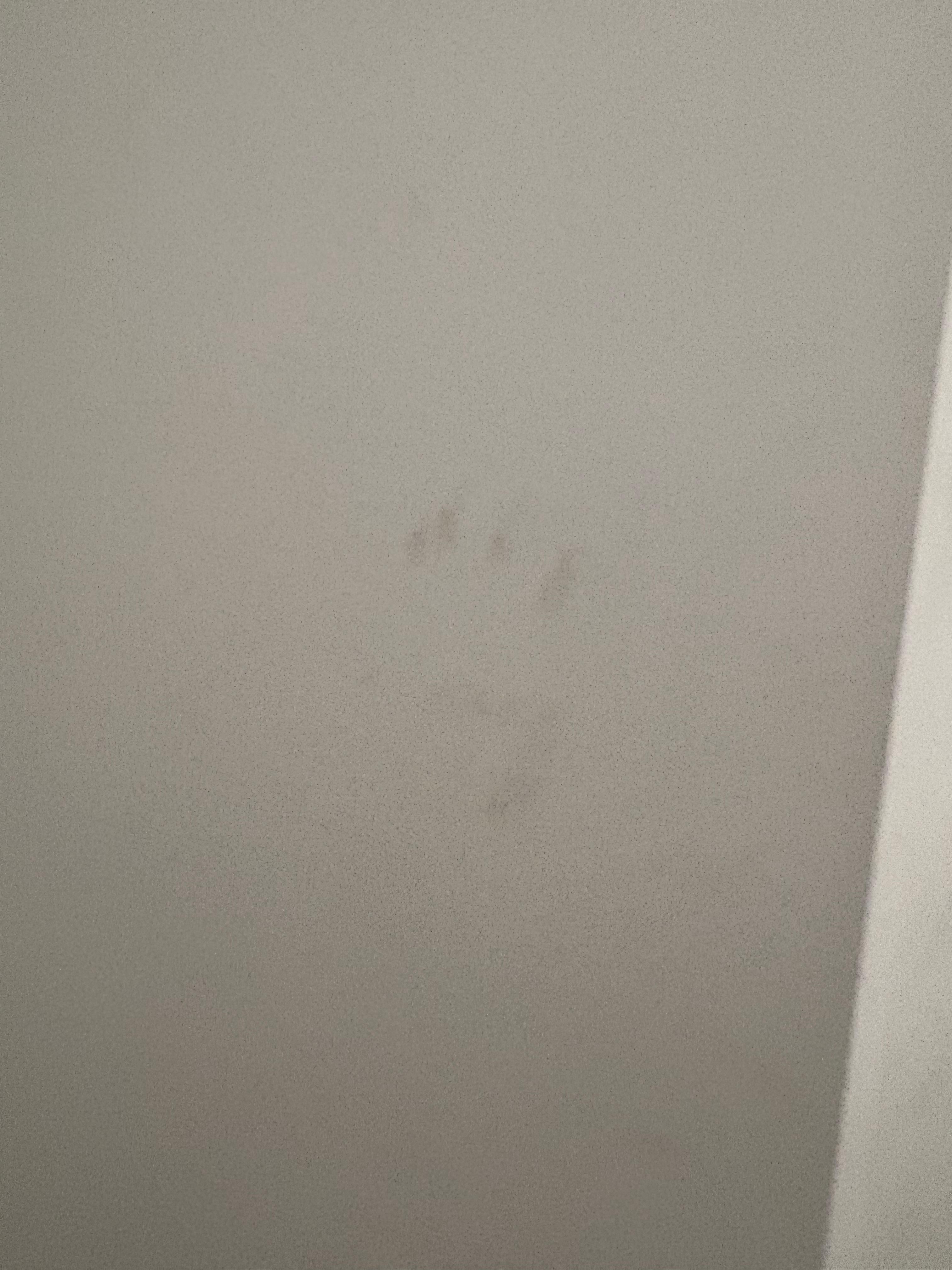 Dirty handprint on wall 
