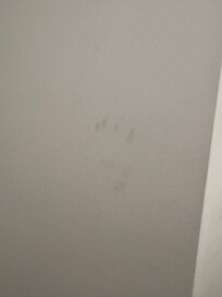 Dirty handprint on wall