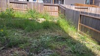 You couldn't go out back for all the weeds and water dripping as you walk out the door.