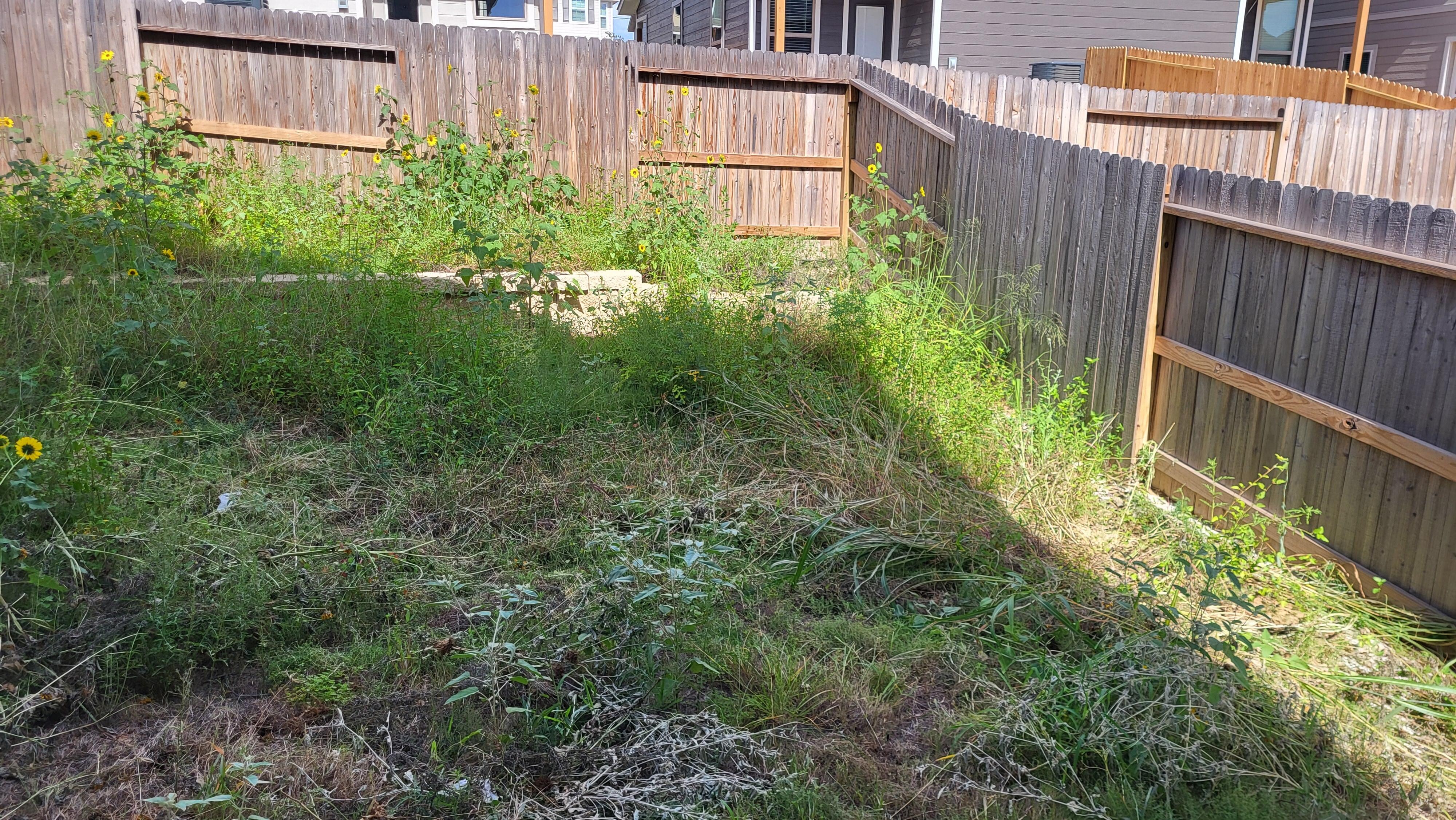 You couldn't go out back for all the weeds and water dripping as you walk out the door.