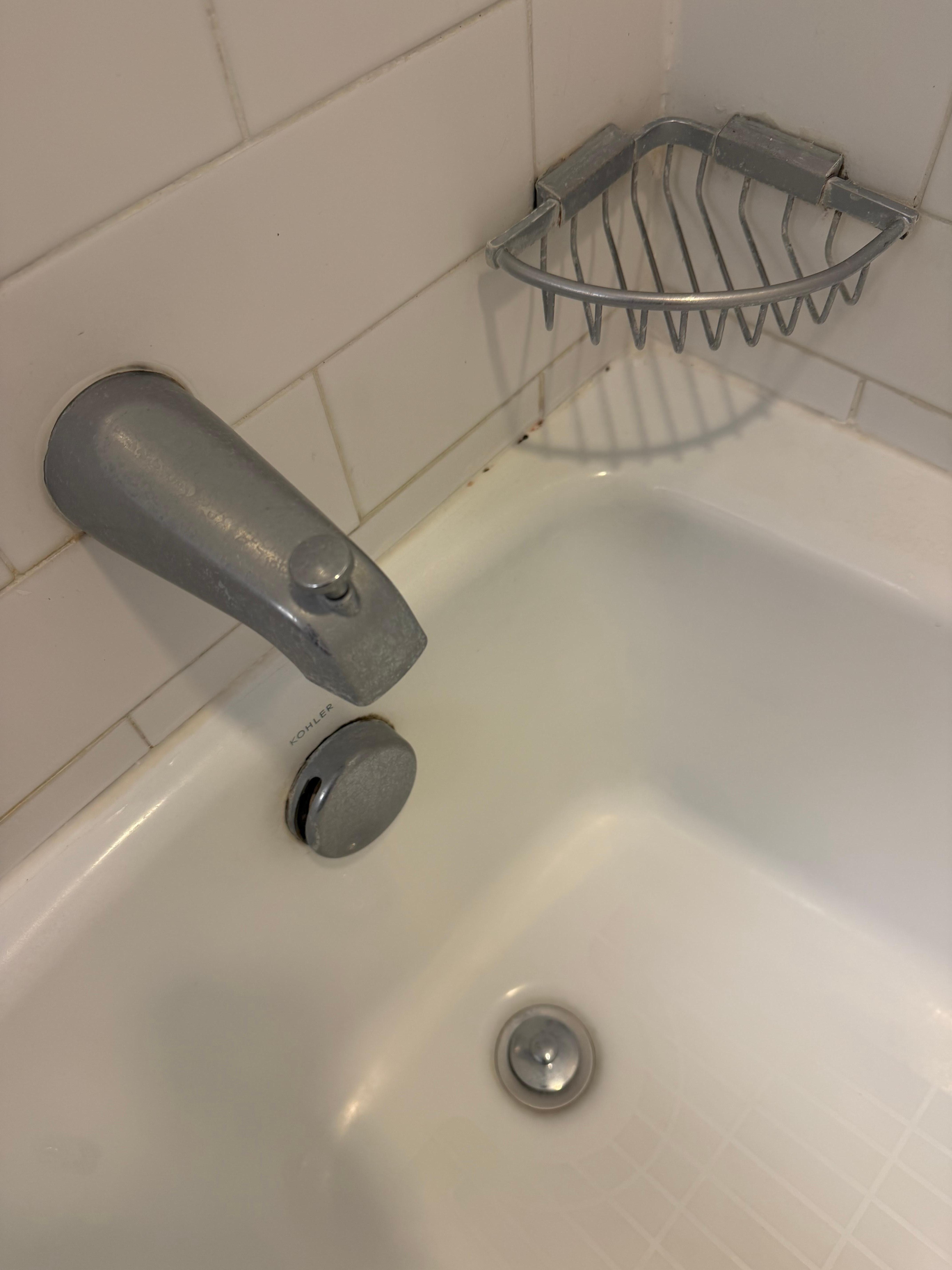 Can’t see them in the photo but small drain flies. 