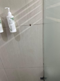 Cockroach on the wall