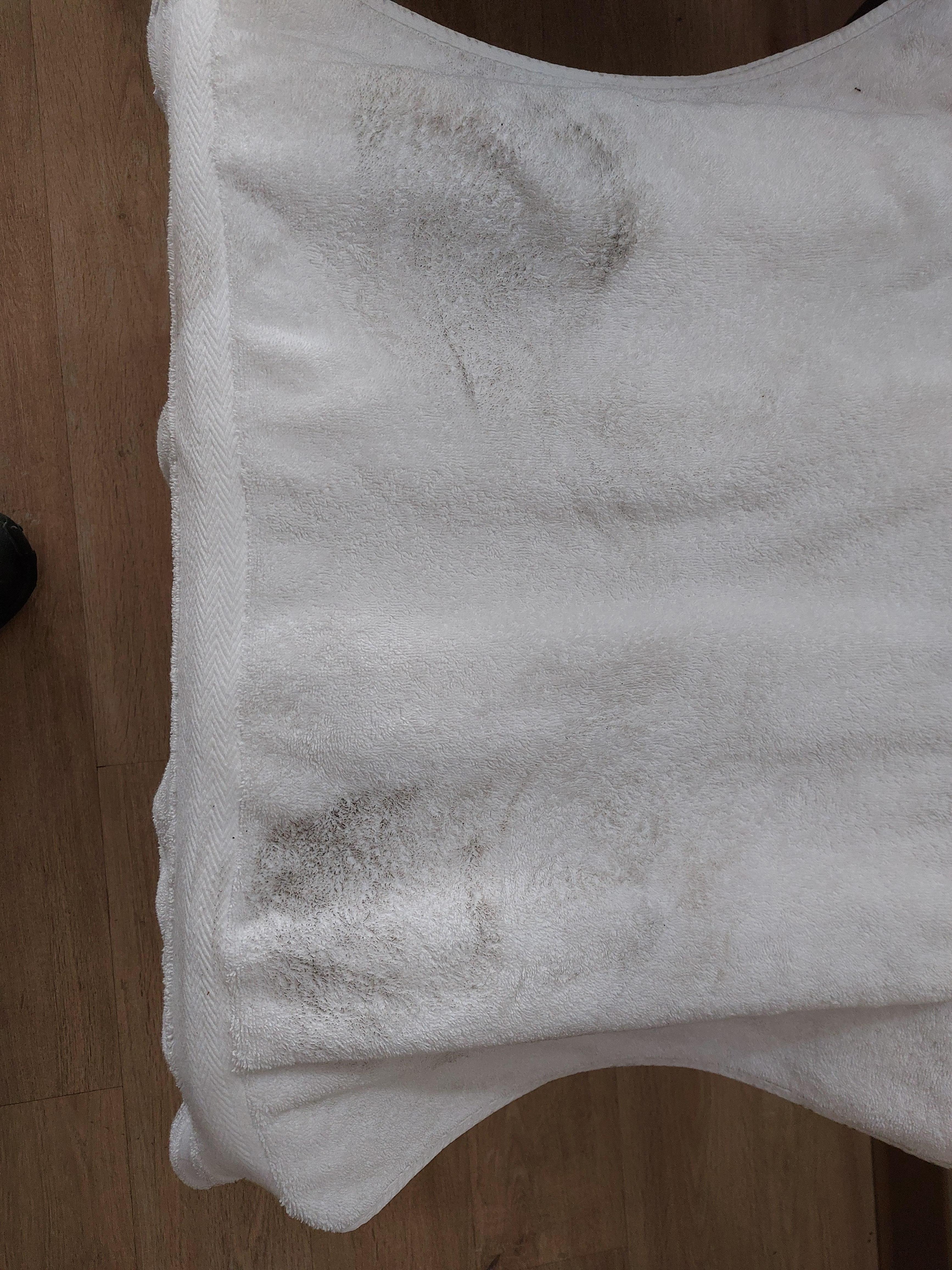 Shuffled from shower to bed on a towel, this is the result. 