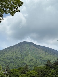 View from bedroom window