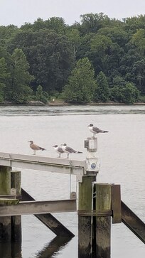 Dock supervisors