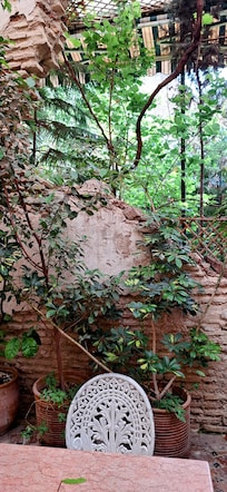private garden till 1pm
after (good) restaurant