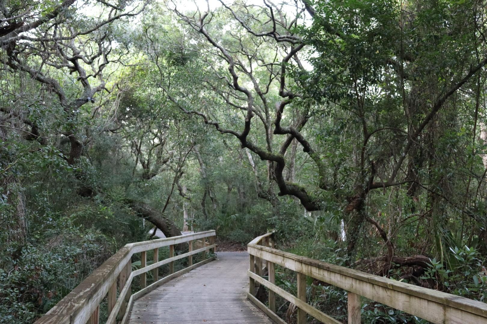 Beautiful trails to walk