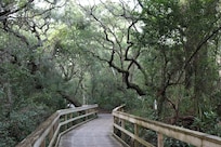 Beautiful trails to walk