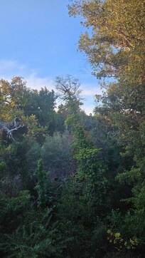 Outlook from my room