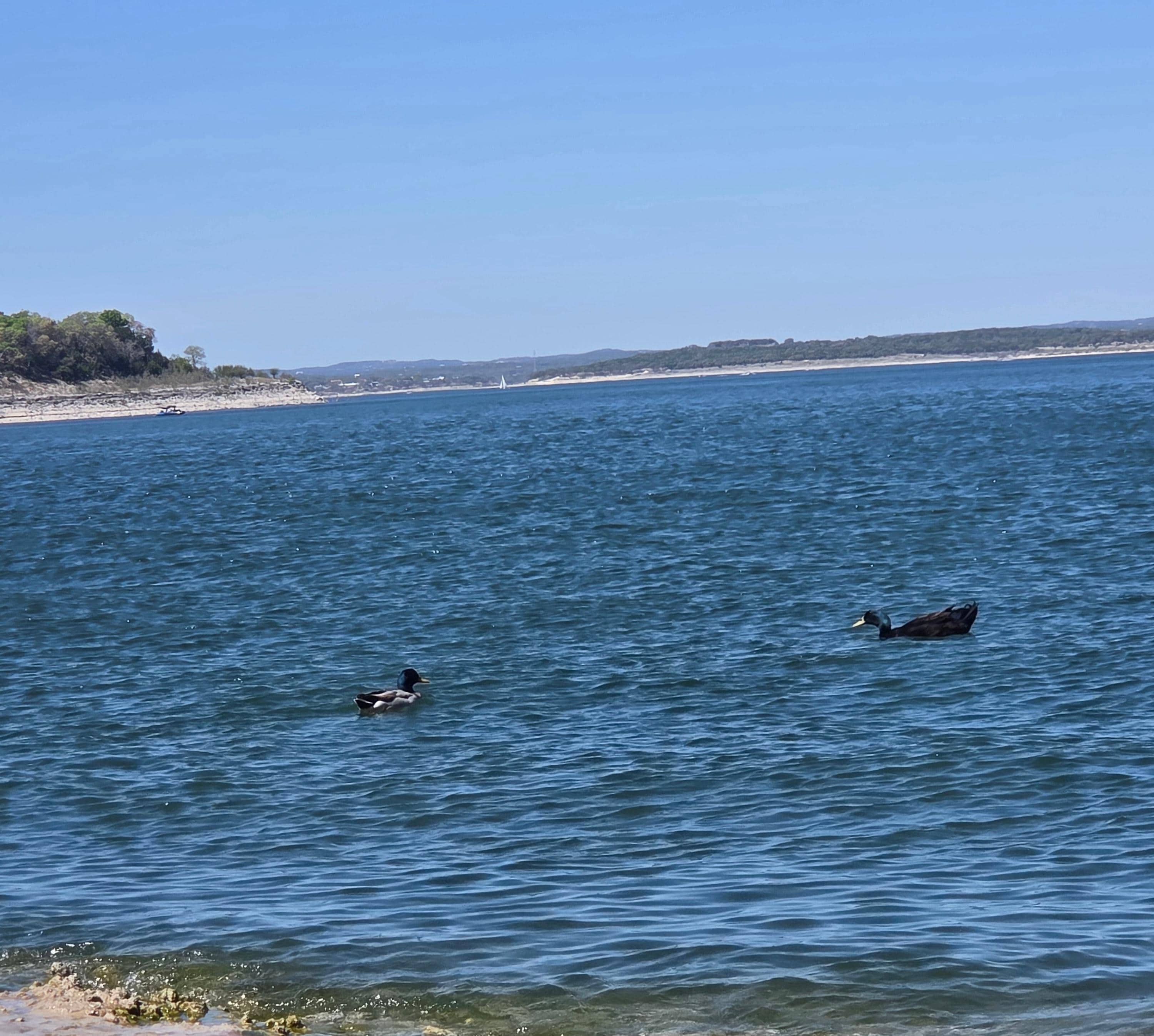 Canyon Lake