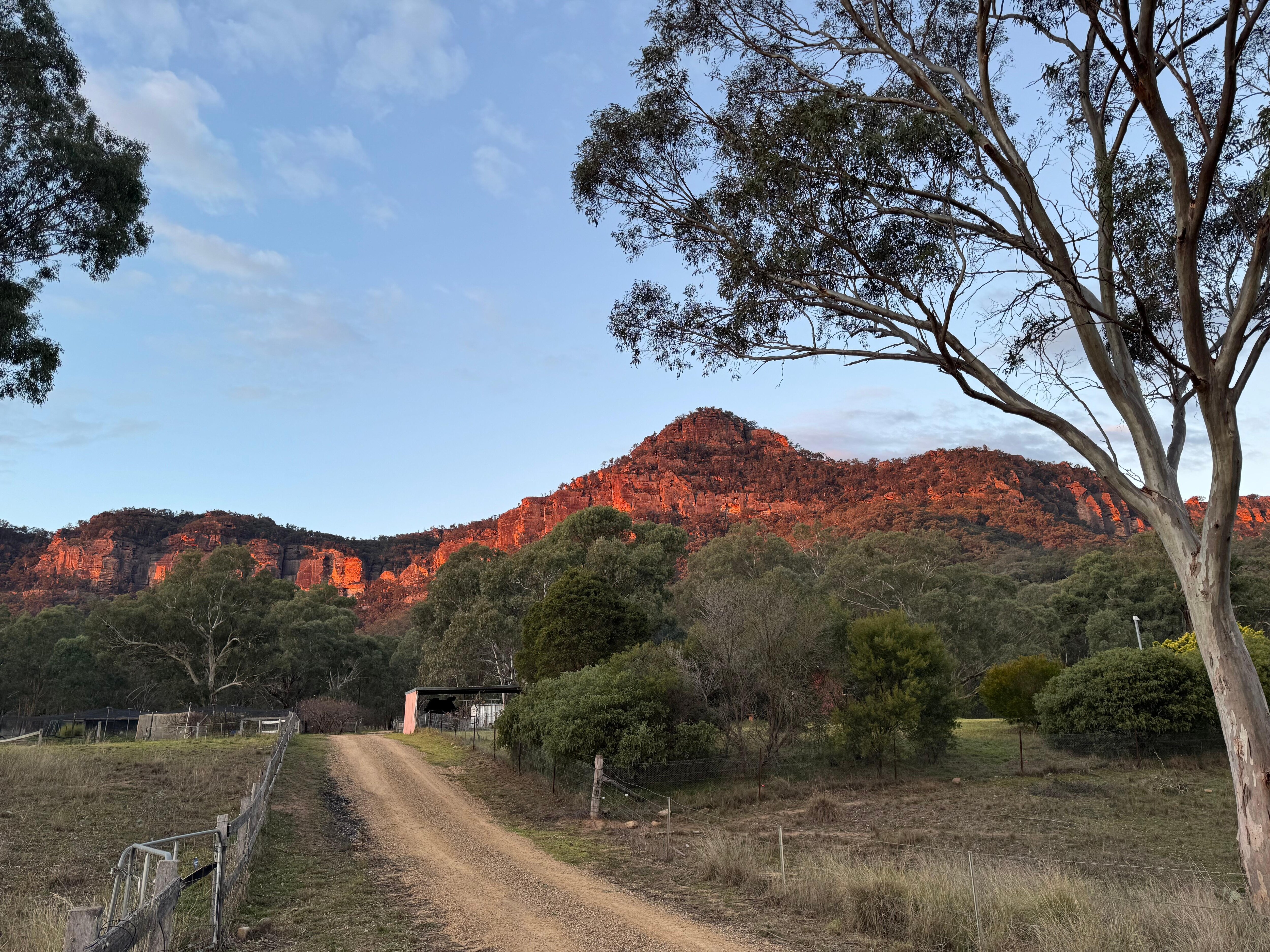 View from road onto property