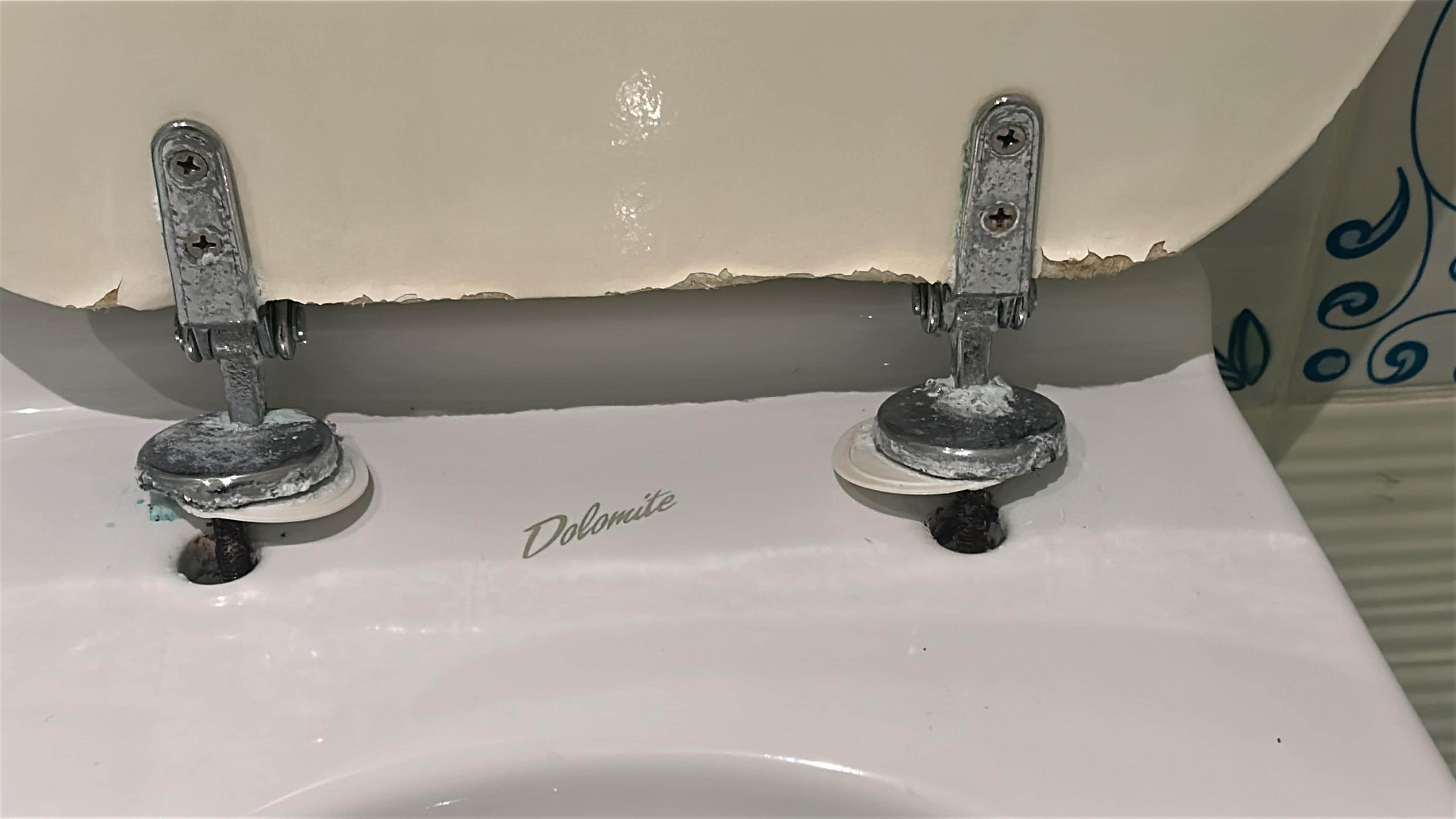 Toilet seat detached