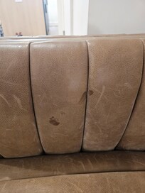 Ketchup ??? On couch