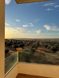 Desde habitación