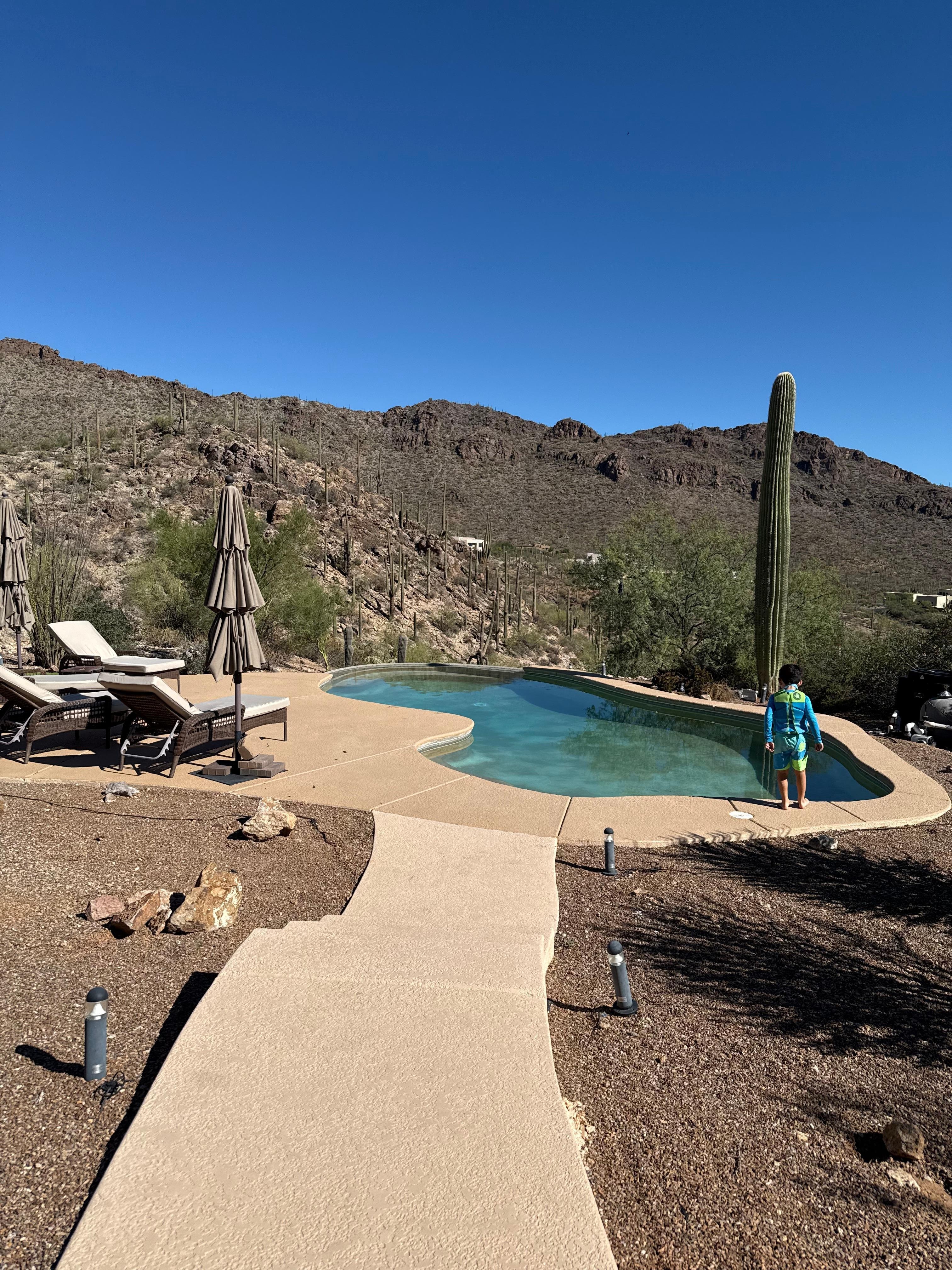 Gorgeous pool for relaxing and playing with kids. 