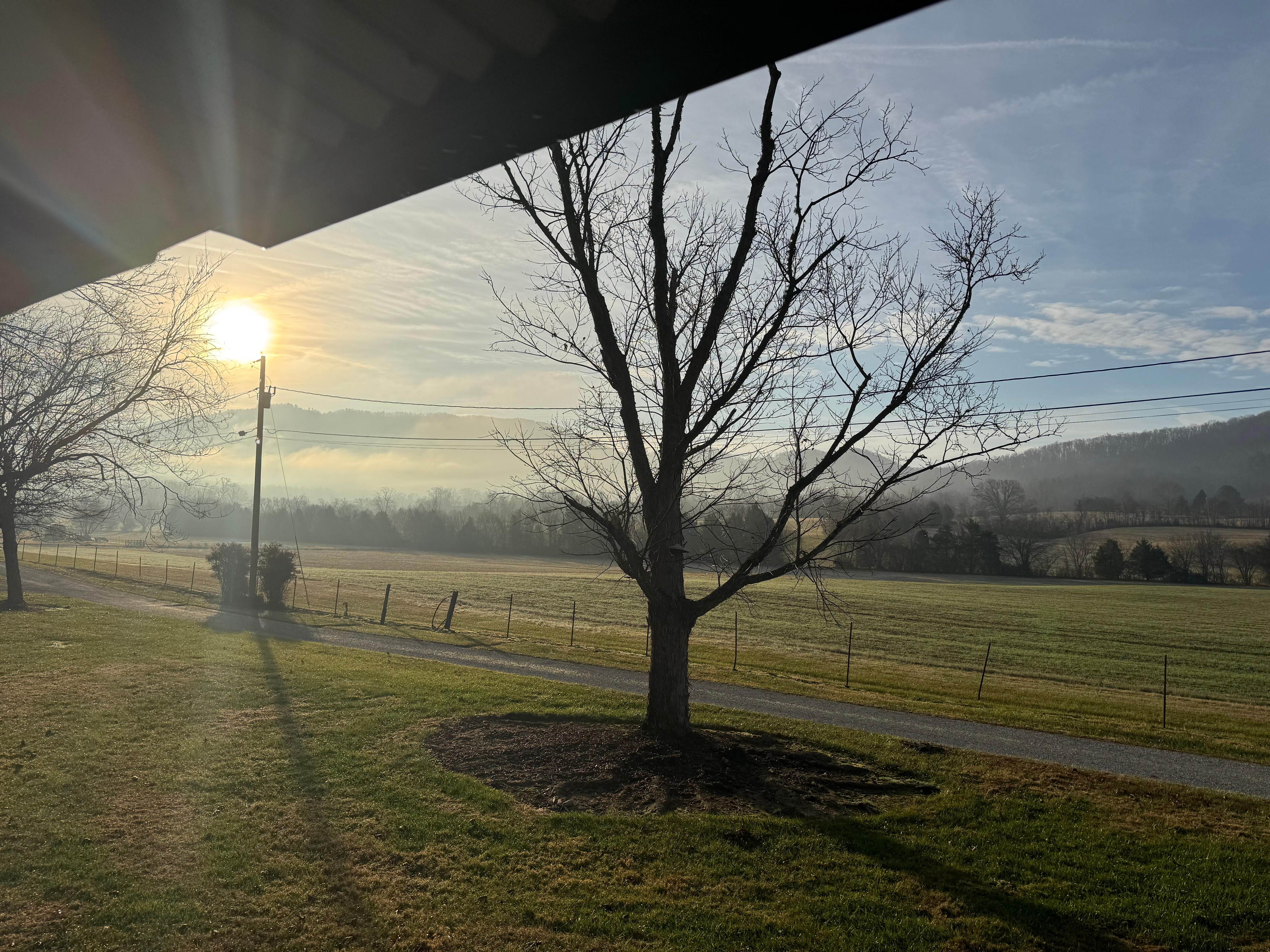 View looking out from the cabin 