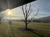 View looking out from the cabin
