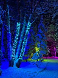 Wild Lights at Wild Center