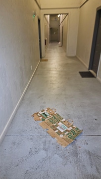 Vomit needing cleaned up from hallway